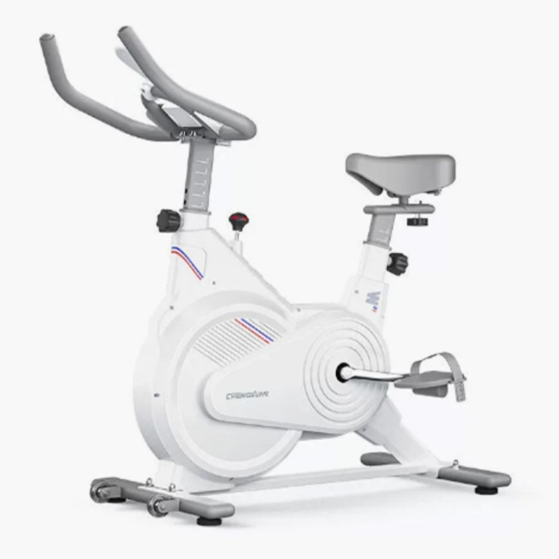Sports Equipment At Home - Indoor Stationary Spin Bike, Silent Magnetic